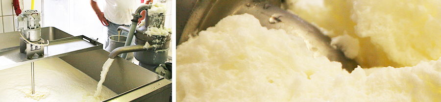 Der Rahm wird von der Milch getrennt