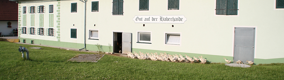 Gänse gut