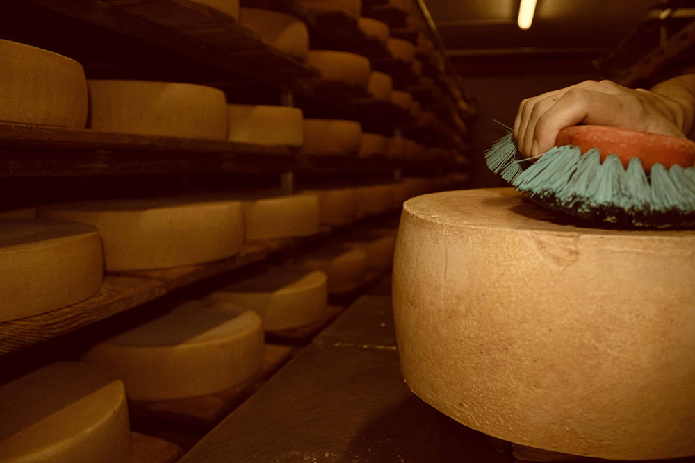 Käse bürsten
