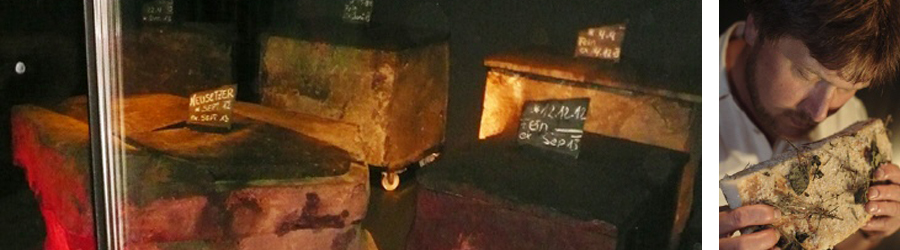 Neusetzer Rückenspeck im Basalt gereift